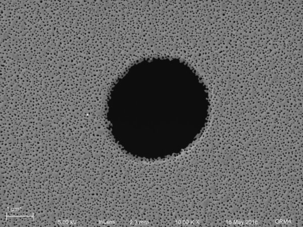 microporous_NPN_10