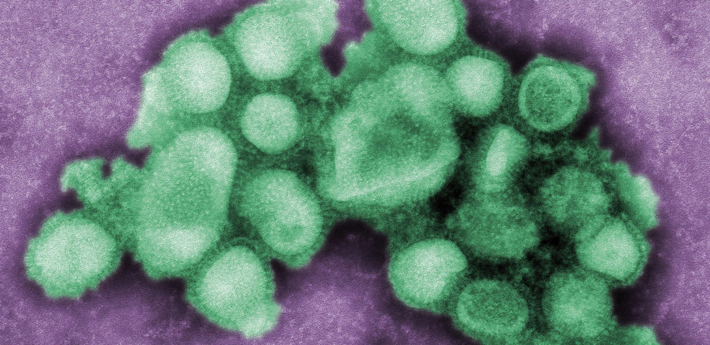 Nanomembranes for Life Sciences
