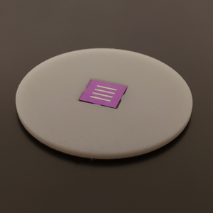 Non-Coated Filter Disc