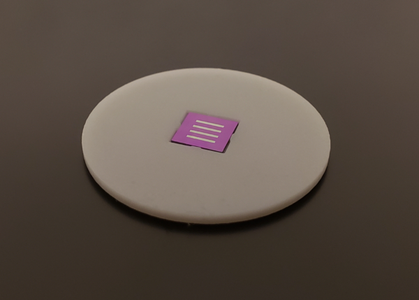 Non-Coated Filter Disc